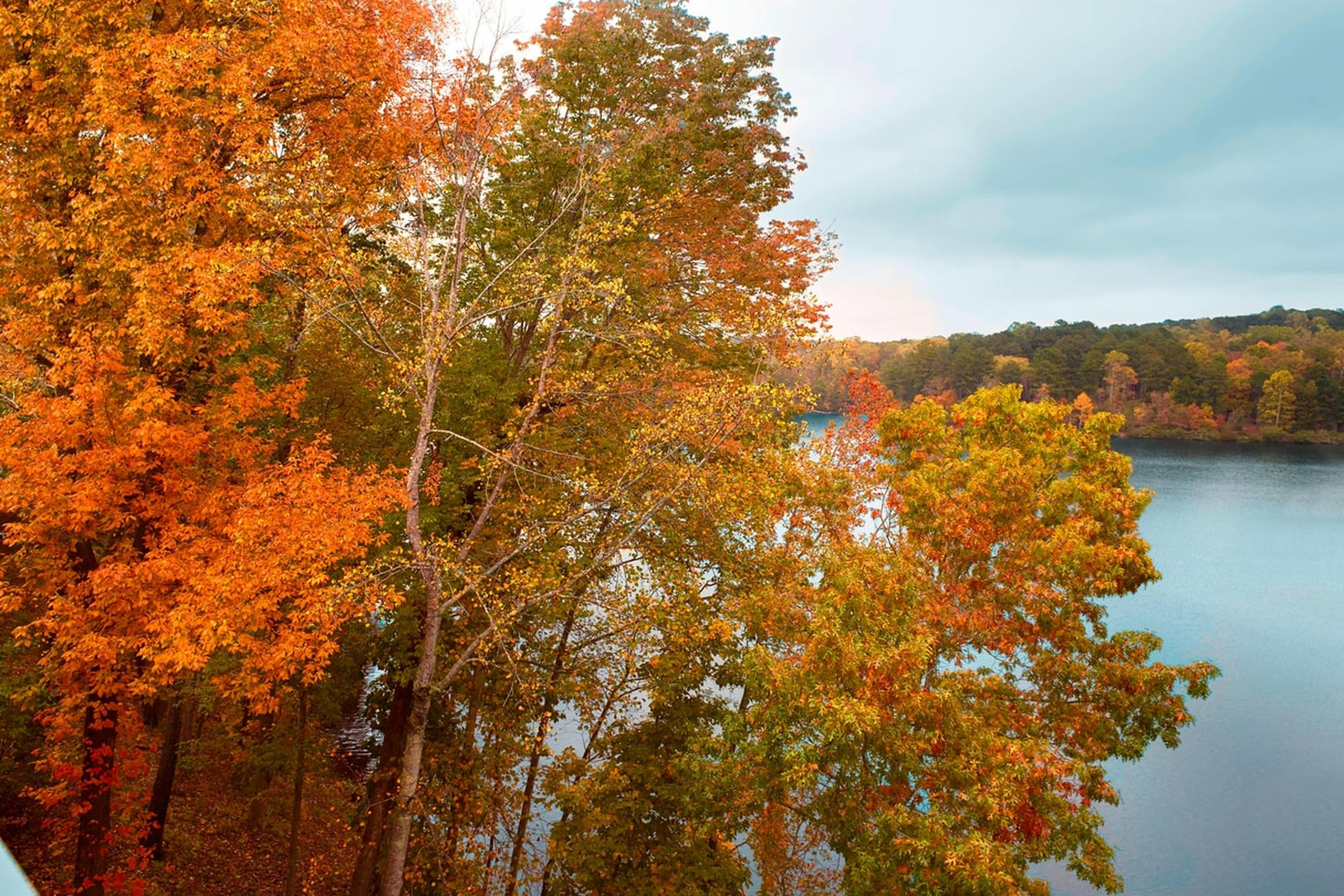 סטון מאונטיין Atlanta Evergreen Lakeside Resort מראה חיצוני תמונה
