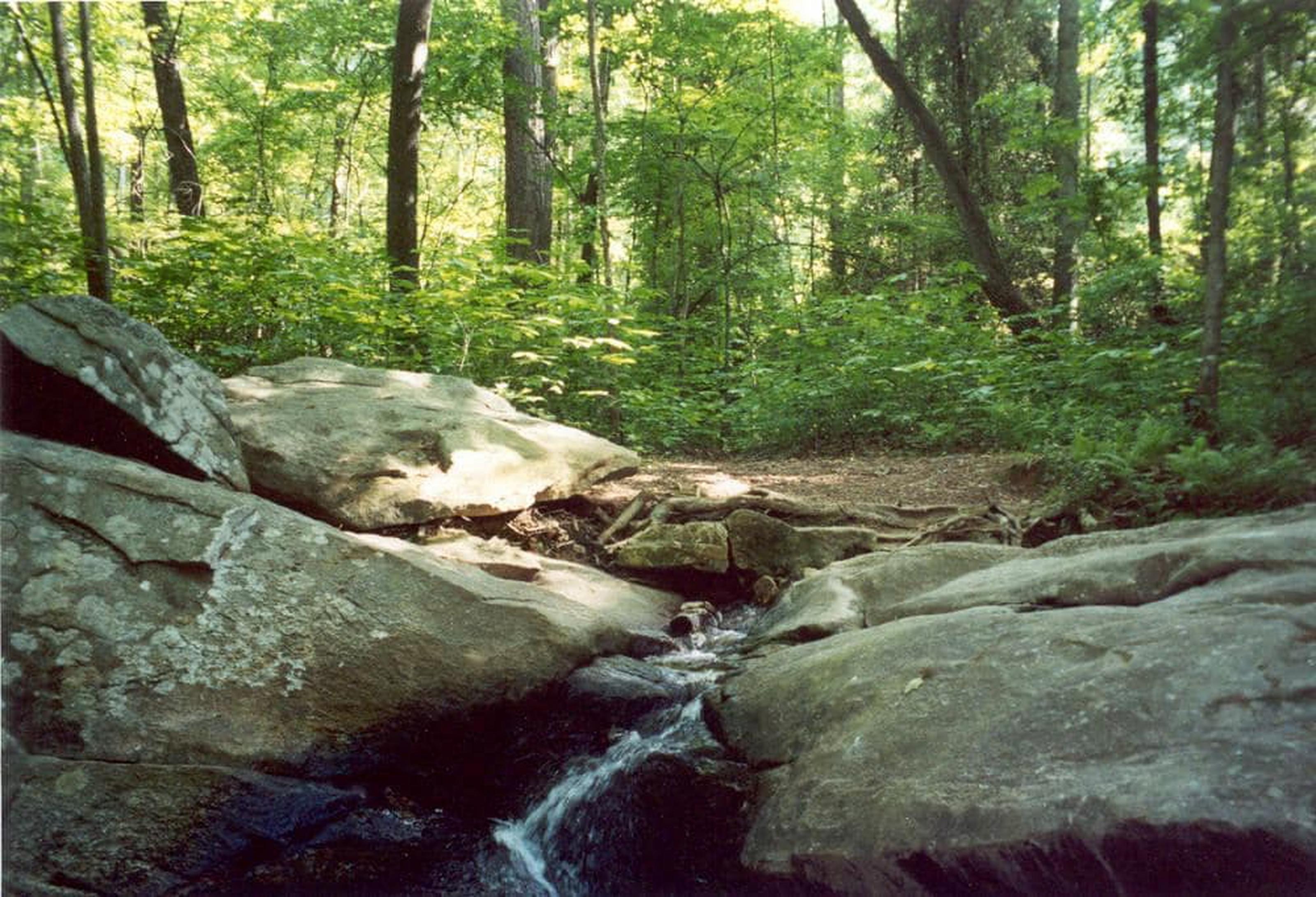 סטון מאונטיין Atlanta Evergreen Lakeside Resort מראה חיצוני תמונה